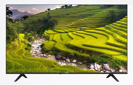 Avision 55